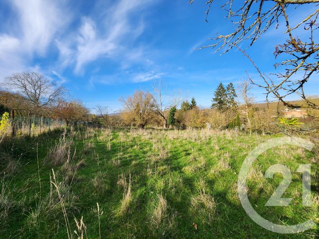terrain à vendre - 2498.0 m2 - FLAVIGNY SUR MOSELLE - 54 - LORRAINE - Century 21 Héritage